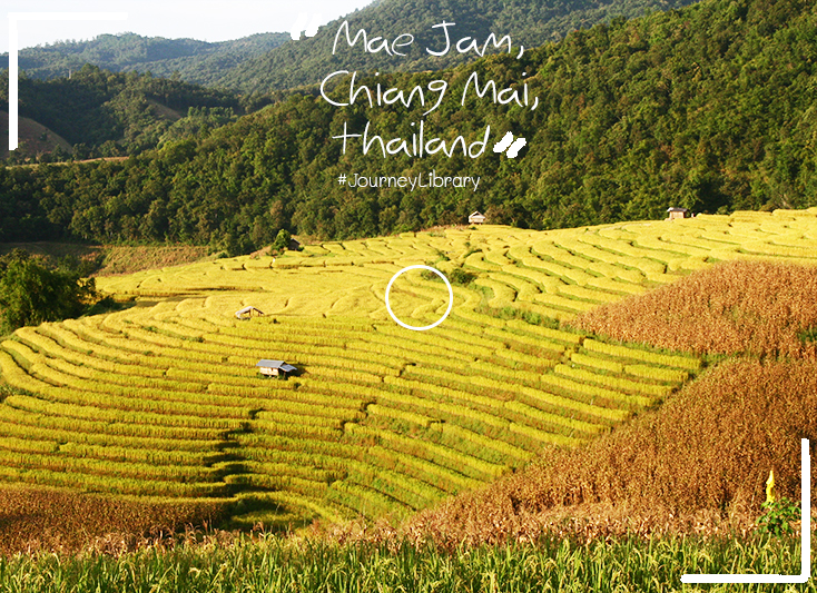 เที่ยวเชียงใหม่ บ้านป่าบงเปียง อำเภอแม่แจ่ม Mae Jam, Chiang Mai, Thailand