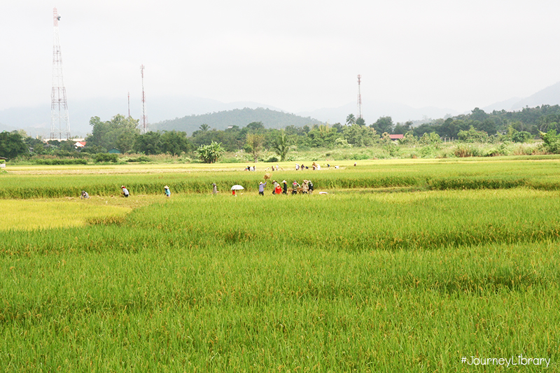 เที่ยวเชียงใหม่ อำเภอแม่แจ่ม บ้านป่าบงเปียง ร่วมงานบุญจุลกฐิน Mea Jam, Chiang Mai, Thailand