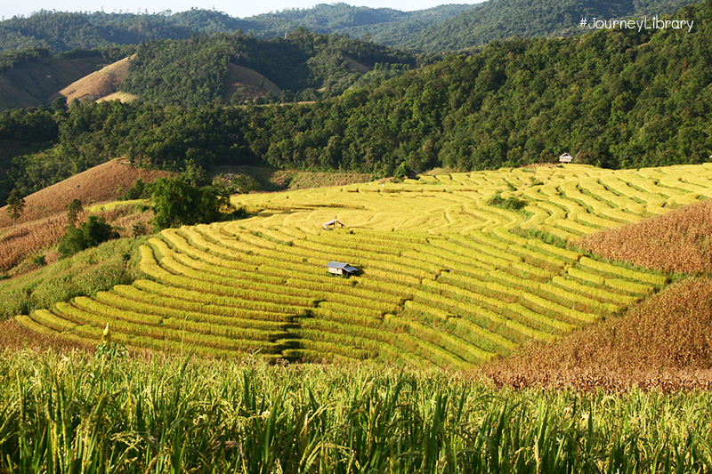 เที่ยวเชียงใหม่อำเภอแม่แจ่ม บ้านป่าบงเปียง ร่วมงานบุญจุลกฐิน Mae Jam, Chiang Mai, Thailand 