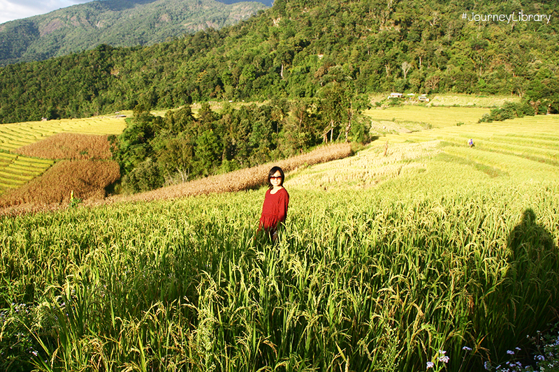 เที่ยวเชียงใหม่ บ้านป่าบงเปียง ร่วมงานบุญจุลกฐิน อำเภอแม่แจ่ม Mea Jam, Chiang Mai, Thailand