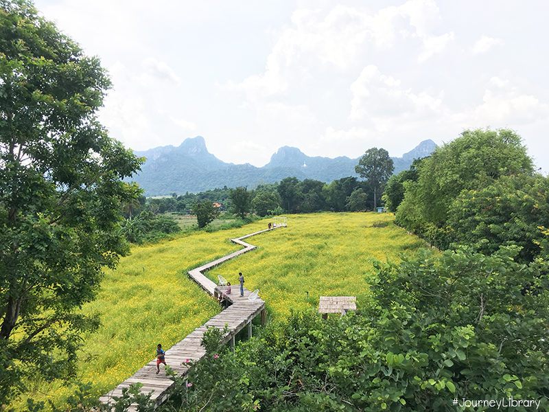 เที่ยวลพบุรี, ร้านกระเพรา & coffee, ร้านกาแฟวิวทุ่งดอกไม้สวย, Lopburi